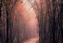 瓦伦西亚vs马略卡:加亚、马马尔达什维利首发,塞尔希-达德尔、浅野拓磨出战.