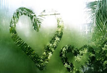 中国男网两人跻身世界前50创历史.